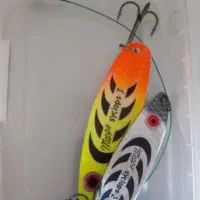 لنسر اردک ماهی|ماهیگیری|بندر انزلی, بشمن|دیوار