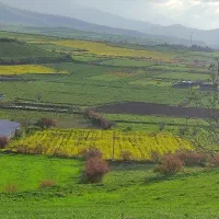 خدمات باغبانی
