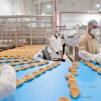 استخدام خانم و آقا در کارخانه کیک و قهوه تک