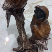 مجسمه طوطی