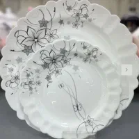 سرویس آرکوپال ۳۰نفره