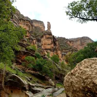 پلاستیک  جا چایی