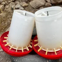 دانخوری مرغداری|لوازم جانبی حیوانات|خضر آباد, |دیوار