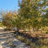 باغ ویلائی نوشین شهر ابتدای روستای رحیم آباد|فروش خانه و ویلا|نوشین شهر, |دیوار