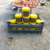 نمک سبز . دلار . درار . دلال