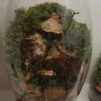 مینی پالوداریوم با آبشار زیبا با قیمت باورنکردنی