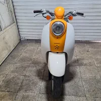 یک عدد هنداپاکشتی اسکوپی