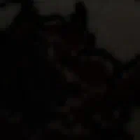 ۳۵ بسته یونجه  چین اخر