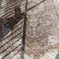 فرش|فرش|نیشابور, شریعتی|دیوار