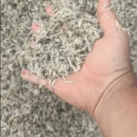 فروش تفاله چغندر