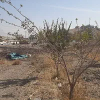 فروش زمین کشاورزی ورودی اصلی شهر۵۵۰متر|فروش زمین و ملک کلنگی|پیر بکران, |دیوار