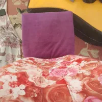 صندلی مجلسی|میز و صندلی غذاخوری|زاهدان, |دیوار