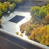 فروش آبمیوه گیر 4کاره استیل