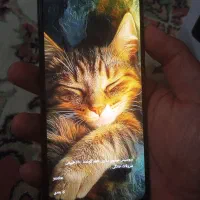 گوشی شیائومی Note 12s