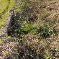 زمین-با-کاربری-فعلا-باغ-250متر