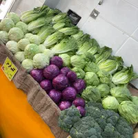 کار در میوه فروشی شیک و حقوق خوب|استخدام خدمات فروشگاه و رستوران|زارچ, |دیوار