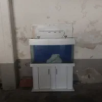 آکواریوم شیشه خم
