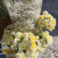 مدیتیشن و پاکسازی انرژی بد .