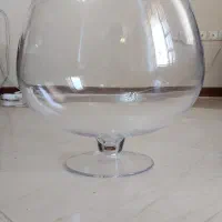 تنگ ماهی بلوری (جنس بلور)