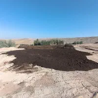 فروش نقدی کود حیوانی گاوی|خدمات باغبانی و درختکاری|سرپل ذهاب, |دیوار