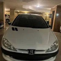 ۲۰۶ اس دی v20