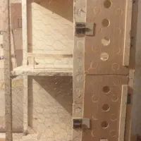 جفت کن کبوتر در سایز های مختلف ومدلهای جدید|لوازم جانبی حیوانات|ملایر, |دیوار