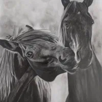 تابلوی سیاه قلم اسب