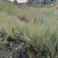 استخدام ادمین پیج هرمزگان