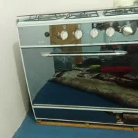 گاز