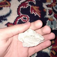 سنگ زیبا|ماهی|شیروان (خراسان), |دیوار