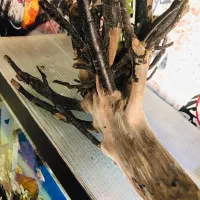 چوب ابنوس پاکسازی ابگیری شده