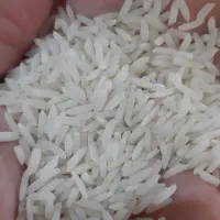 برنج هاشمی شخصی