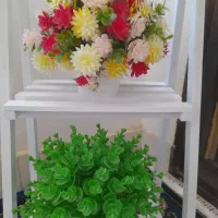 استند|گل و گیاه طبیعی|کوهدشت, |دیوار