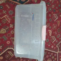 باکس حلزون|خزنده|قم, هفت تیر|دیوار