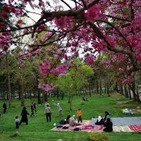 راهنمایی میخوام