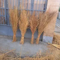 جارو شهرداری