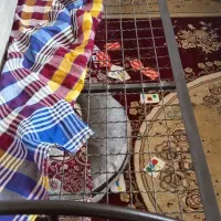 تخت خواب دربندرکنگان|تشک تختخواب|بندر کنگان, |دیوار