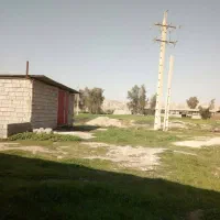 اجاره-گاوداری-با-کاربری-پرواربندی-گوساله-و-گوسفند