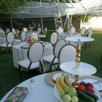 تشریفات مجالس|خدمات پذیرایی، مراسم|کرج, گوهردشت|دیوار