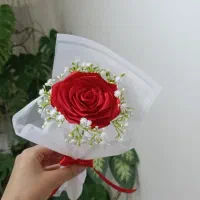 گل رز با ژیپسوفیلیا