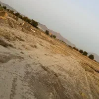 فروش باغ و زمین کشاورزی نزدیک شهر|فروش دفتر صنعتی، کشاورزی، تجاری|ملایر, |دیوار