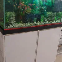 آکواریوم با کمد سه طبقه