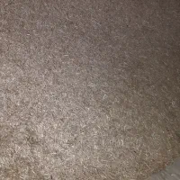 کاه گندم  سفید خالص و درجه یک|عمده‌فروشی|گنبد کاووس, |دیوار