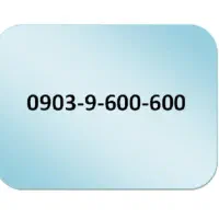 0903-9-600600