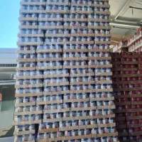 کنسرو لوبیا چین چین