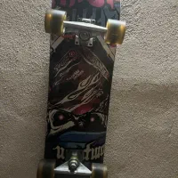 اسکیت برد حرفه ای