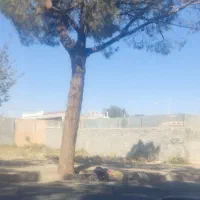 زمین تجاری مغازه حاشیه اصلی باقری|فروش زمین و ملک کلنگی|کاشمر, |دیوار