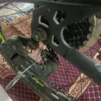 دورچه در حد نو