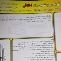 تیبا مدل ۹۴|خودرو سواری و وانت|اصفهان, ملاصدرا|دیوار