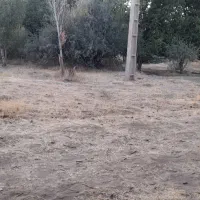 زمین ورودی دقلا مناسب خونه باغی کنار جاده کرمانشاه|فروش زمین و ملک کلنگی|تویسرکان, |دیوار